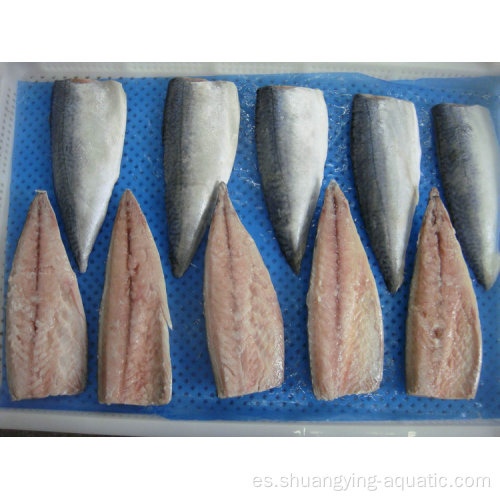 Filete de pescado de caballa congelado Bonless en vacío empaquetado